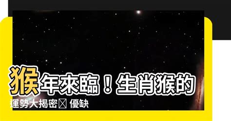 屬猴 五行|生肖猴性格優缺點、運勢深度分析、年份、配對指南